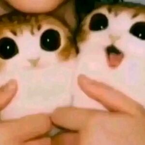 Unlisted live show item